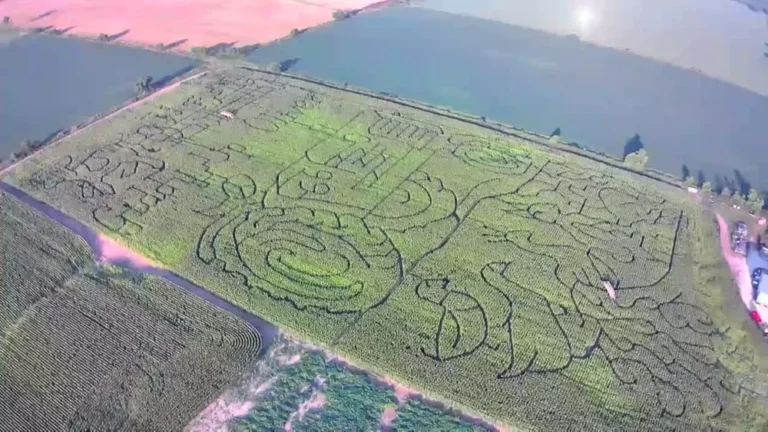 The Best Corn Mazes in Door County