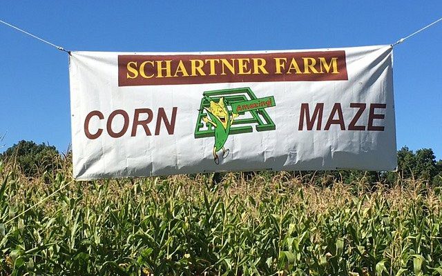 The Best Corn Mazes in Door County