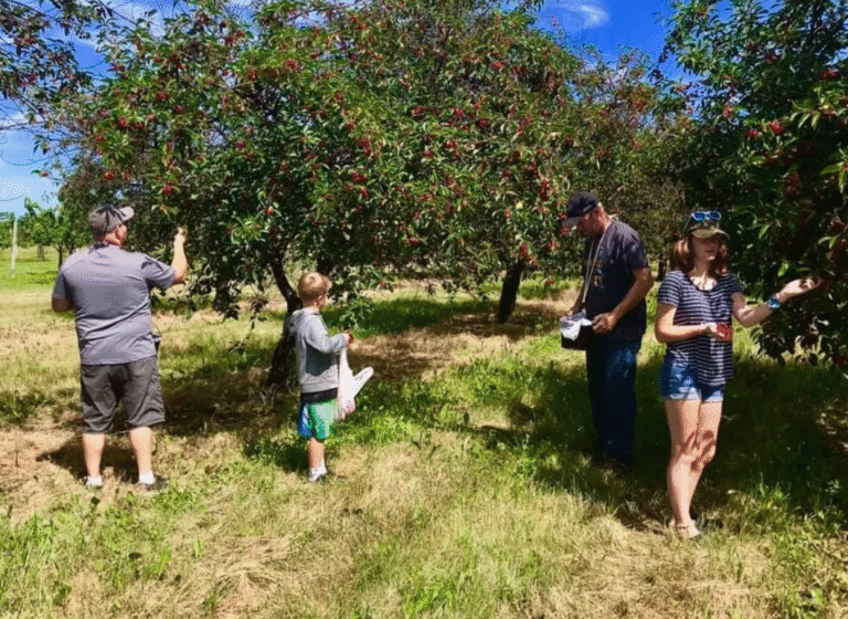 Top Places To Pick Your Own Apples in Door County