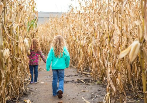 The Best Corn Mazes in Door County