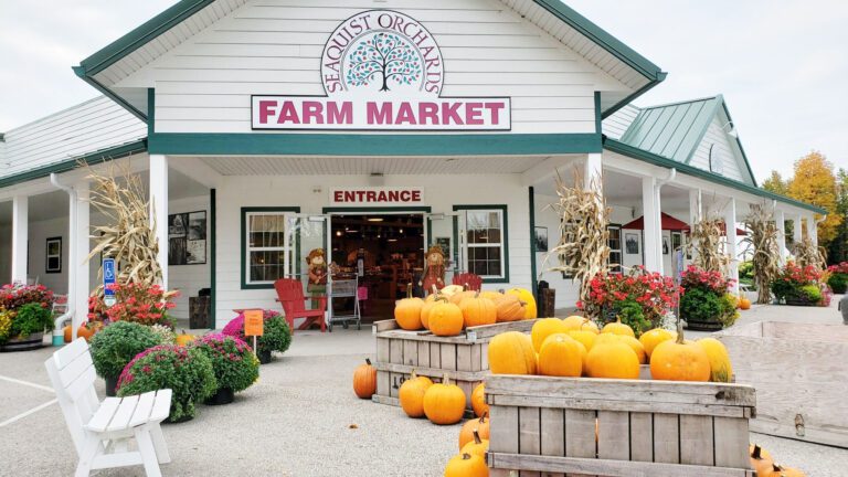 Top Places To Pick Your Own Apples in Door County